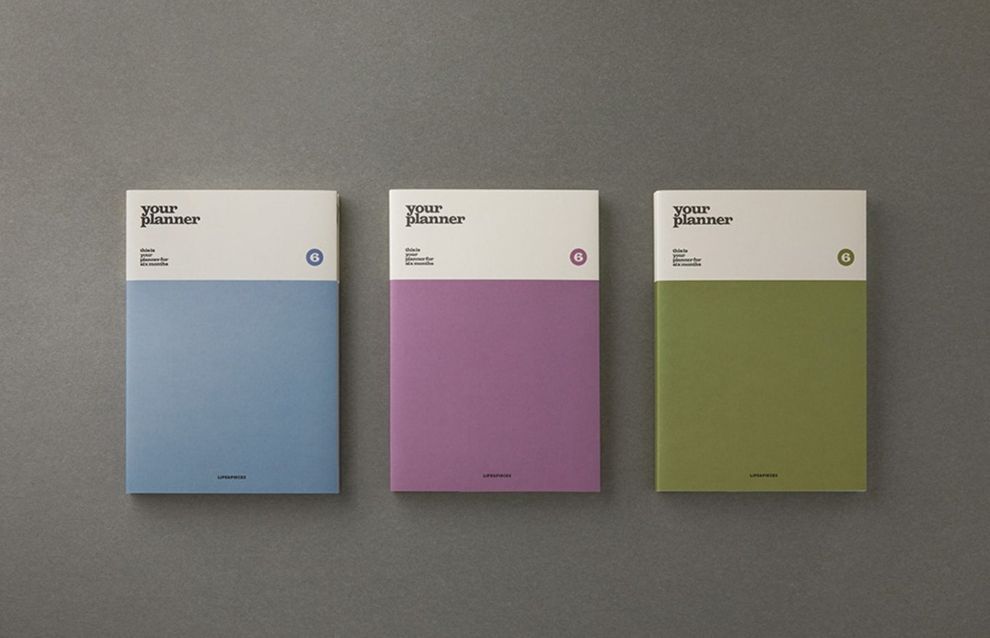 Comfy 6 Month Your Planner - ZoocomingTree