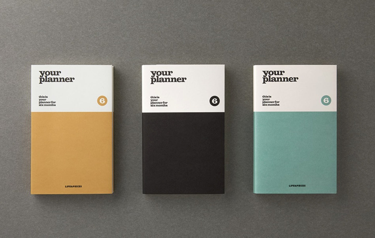 Compact 6 Month Your Planner - ZoocomingTree