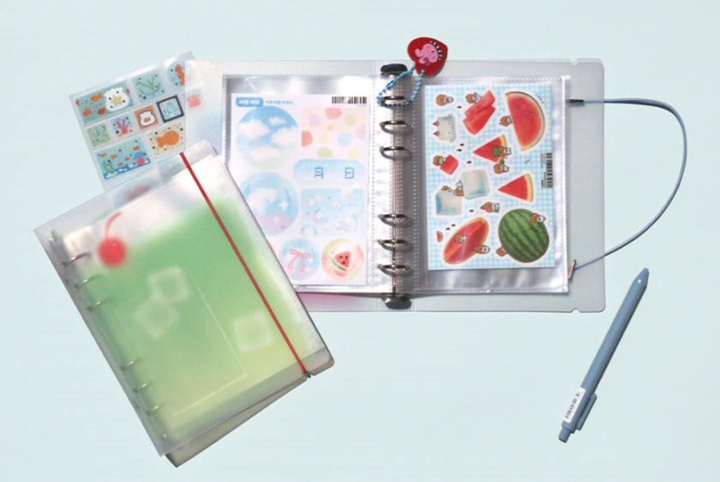 A6  Sticker Organizer Transparent Binder - ZoocomingTree